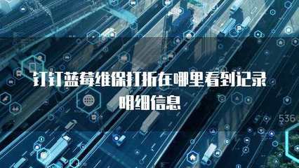 多乘單CRM返點查詢與信息系統運行維護服務詳解