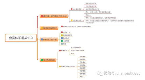 會員積分體系產品設計與信息系統運行維護服務
